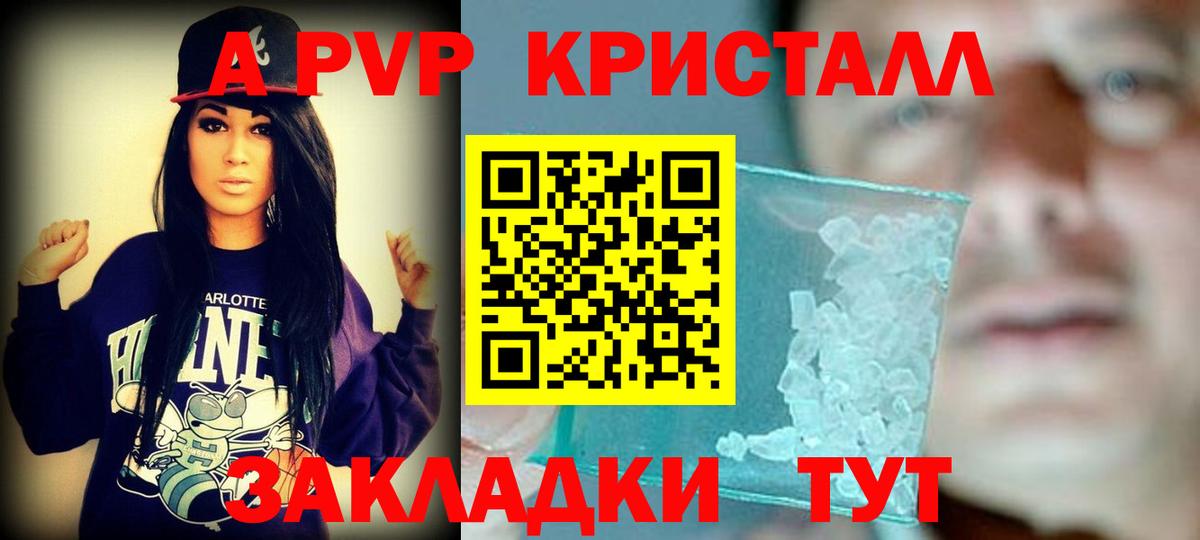 A-PVP СК КРИС Сыктывкар