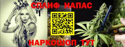 мяу мяу мука Будённовск