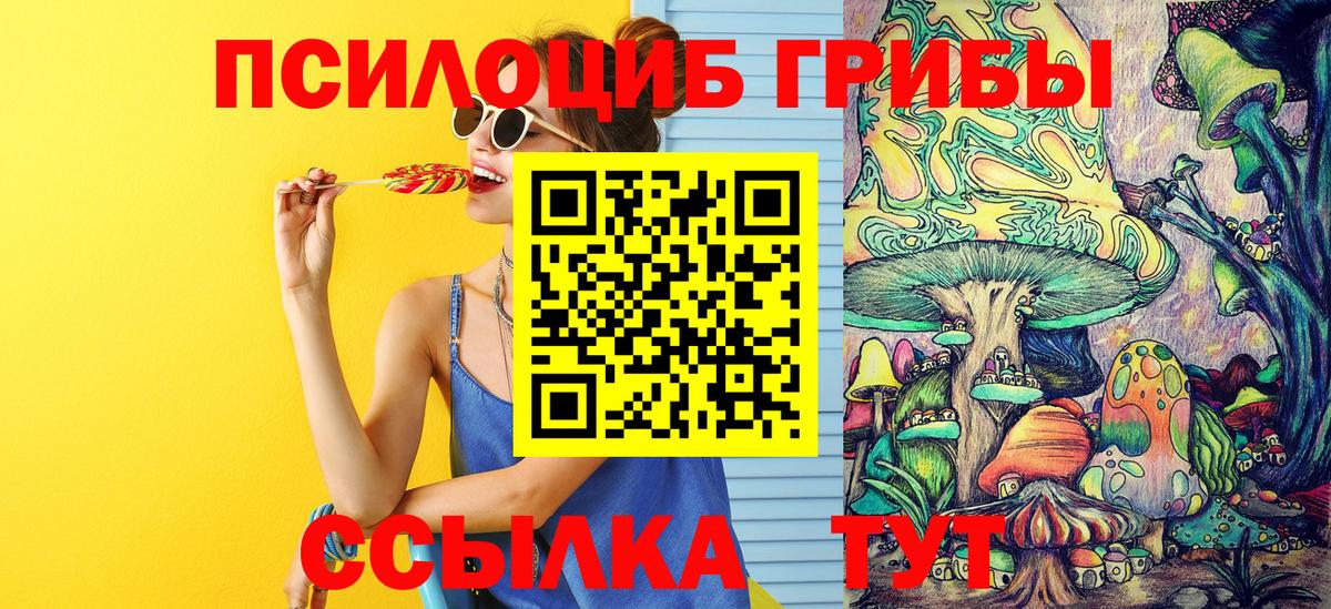 Псилоцибиновые грибы Cubensis  Вход с VPN  Сыктывкар 