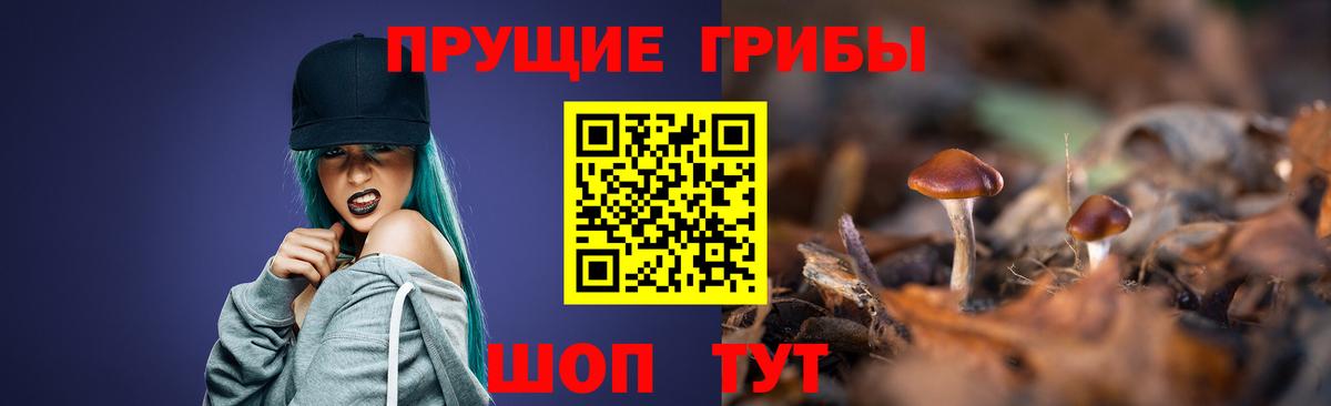 Псилоцибиновые грибы мицелий Сыктывкар